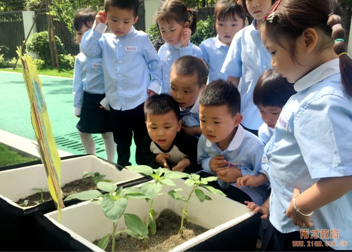 以愛做教育，用心伴成長(cháng)——厚永幼兒園走進廣西(xī)欽州靈山縣！