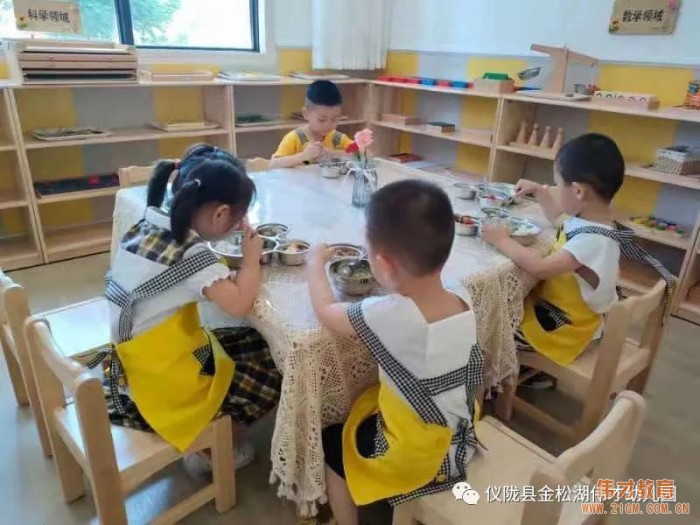 偉才園所丨“暑”你精彩，四川儀隴金松湖(hú)偉才幼兒園快樂暑假班