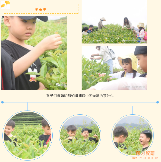 “玩”轉盛夏，“暑”你精彩——廣東揭陽偉才幼兒園遊學記