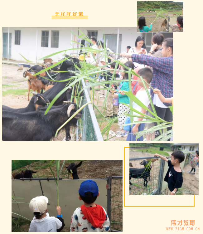 “玩”轉盛夏，“暑”你精彩——廣東揭陽偉才幼兒園遊學記