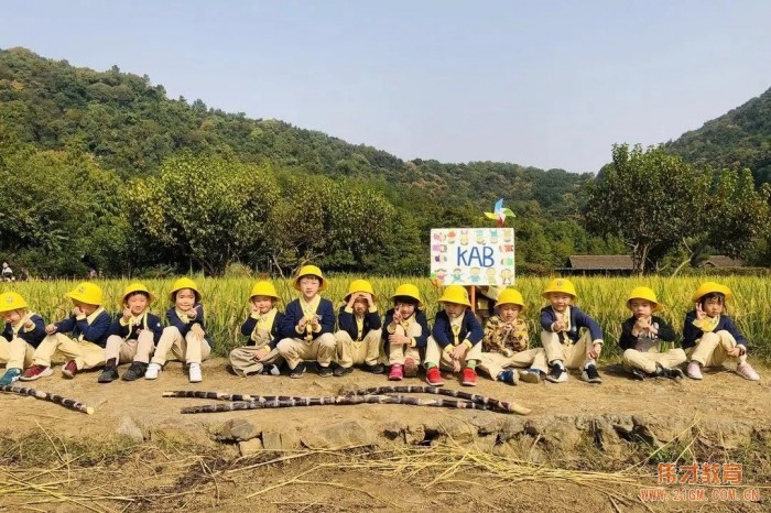 浙江杭州西(xī)溪偉才幼兒園：再見(jiàn)，森林小(xiǎo)時光(guāng)